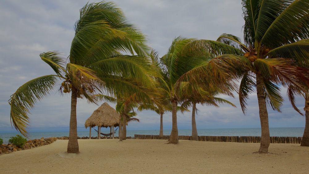 Отель Royal Belize Thatch Caye Экстерьер фото